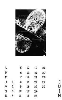 CALENDAR 2000, JUNE - © by THE KENYWAN FACTORY